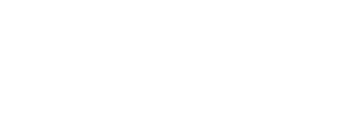 BNI logo
